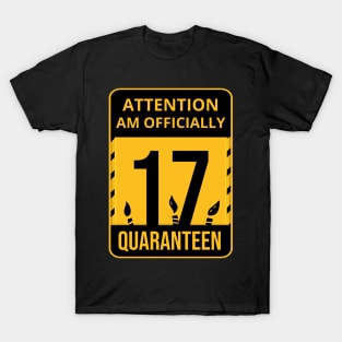 17th Birthday Officially a Quarateen teenager 17 Years Old T-Shirt